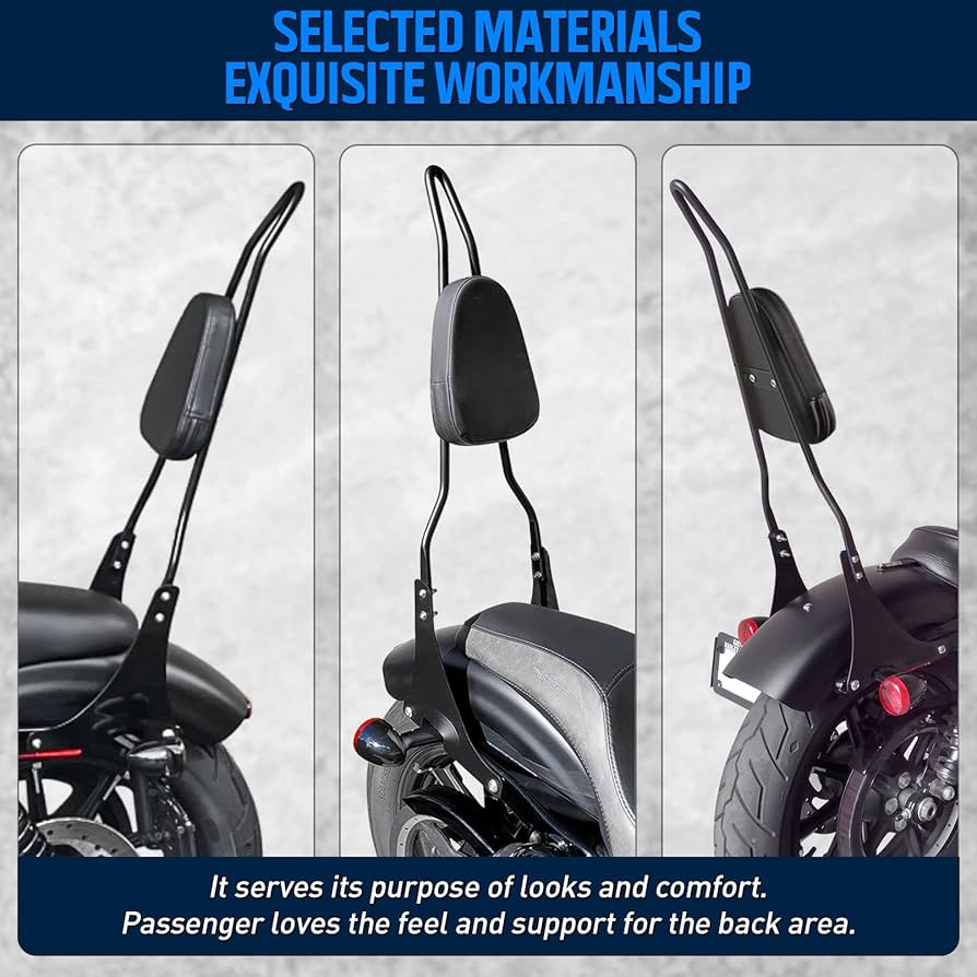 Amazon.com: Benlari Gloss Black Detachable Sissy Bar